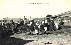 BIVEN Georges - 252- Oujda